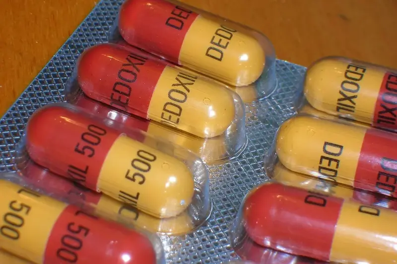 Foto: commons.wikimedia, Rob Brewer