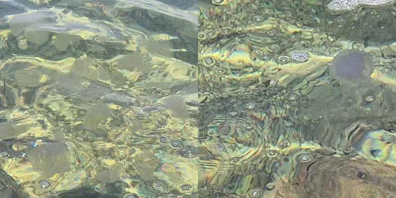Kaj od kopanja v slovenskem morju letos odvrača kopalce