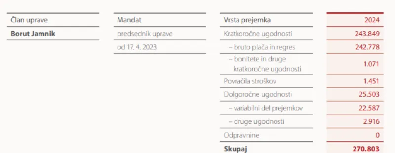Prejemek predsednika uprave SID banke Boruta Jamnika v letu 2024. Foto: Posnetek zaslona. 