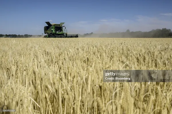 A combine harvester operates in a field of wheat during the summer harvest in Kryvyi Rih, Ukraine, on Tuesday, June 28, 2022. Crop shipments from Ukraine -- one of the worlds biggest wheat, corn and vegetable-oil exporters -- have been severely constrained as Russia's invasion blocks its Black Sea ports, sending global food prices to record levels. Photographer: Julia Kochetova/Bloomberg via Getty Images