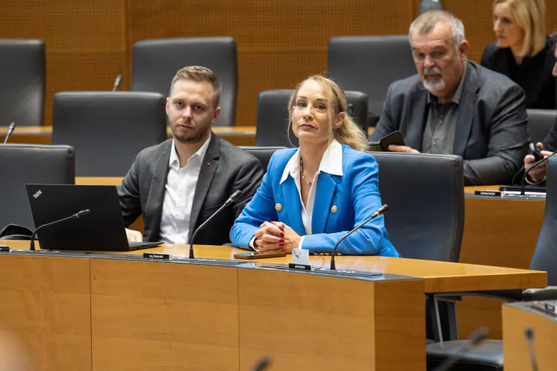 meira hot, vodja poslanske skupine SD