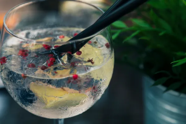 Izdelek se lahko prodaja, vendar ne kot »gin«, ne glede na to, ali uporablja izraze, kot sta »brezalkoholni« ali »virgin«. Foto. Canva