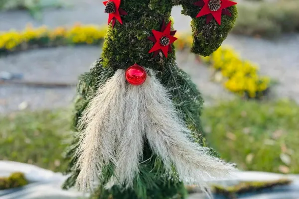 božična dekoracija, Strunjan