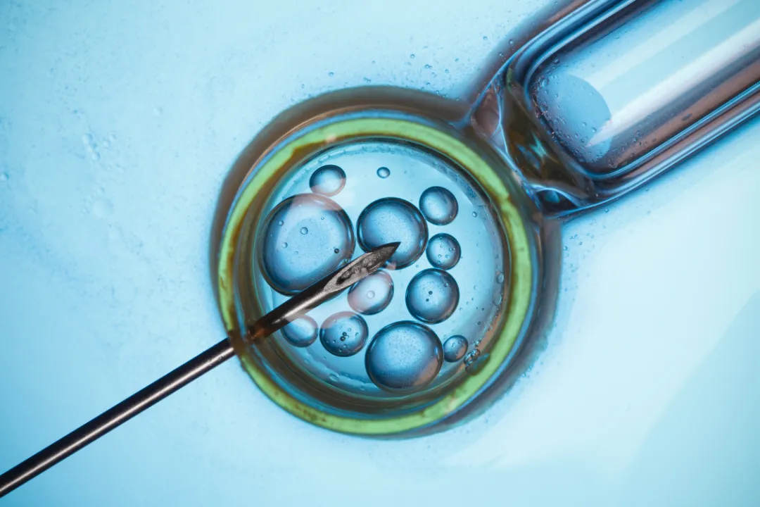 Revolucija na področju oploditve z biomedicinsko pomočjo: Nov zakon prinaša pomembne spremembe