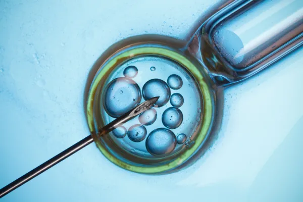 Danes začne veljati zakon o oploditvi z biomedicinsko pomočjo. Foto: Canva