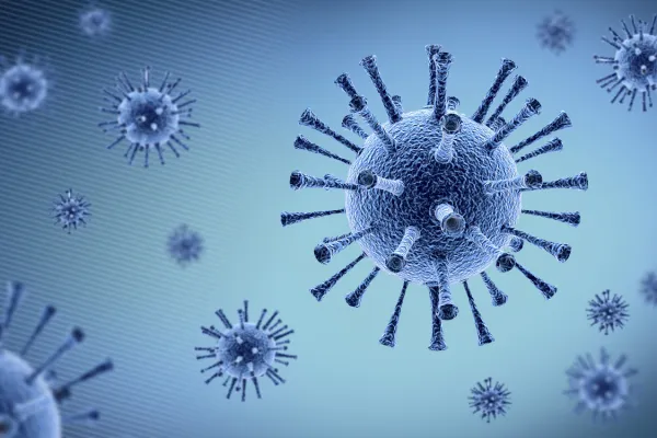 Okužbo z aviarno influenco tipa A, podtipa H5N1, so potrdili pri labodu grbcu v občini Slovenska Bistrica ter pri treh labodih grbcih in sivi čaplji v občini Lenart. Foto: Canva