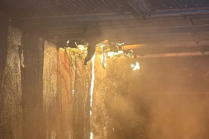 Ta fotografija naj bi kazala električne kable po požarnem napadu. Foto: Stromnetz Berlin