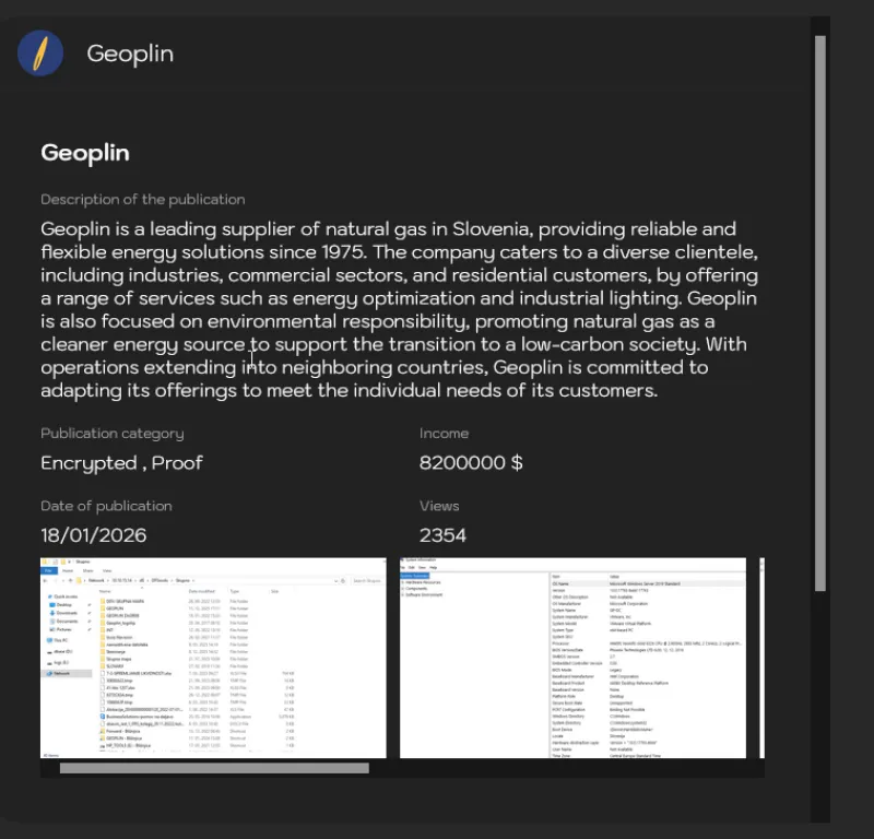 Hekerji so na temnem spletu objavili tudi seznam dela podatkov, ki so jih ukradli Geoplinu.Foto: zajem zaslona