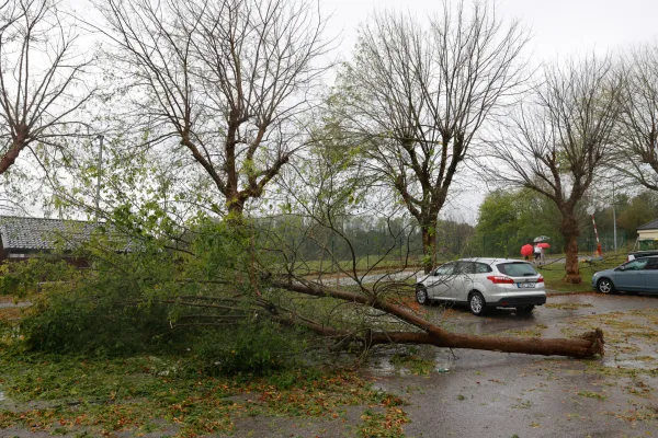 Prihajalo je do izpadov elektrike, veter je odkril več streh stanovanjskih in drugih objektov ter podrl več dreves, zaradi katerih je bilo neprevoznih nekaj cest. Foto:Nik Rovan/F.A.Bobo