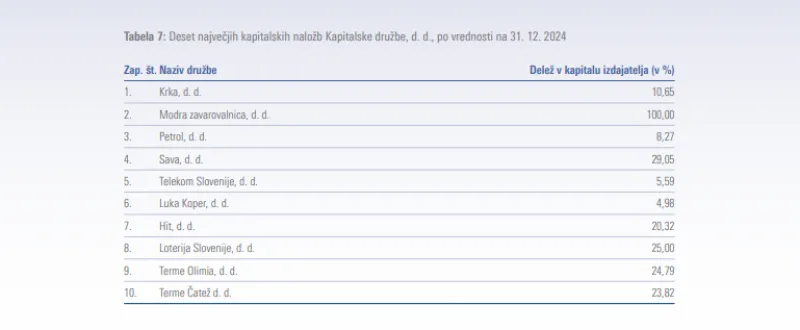 naložbe kad, letno poročilo