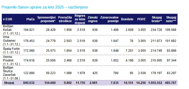 Izsek iz letnega poročila 2025 družbe Telekom Slovenije. Foto: posnetek zaslona 