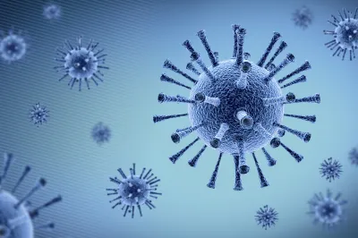 Okužbo z aviarno influenco tipa A, podtipa H5N1, so potrdili pri labodu grbcu v občini Slovenska Bistrica ter pri treh labodih grbcih in sivi čaplji v občini Lenart. Foto: Canva