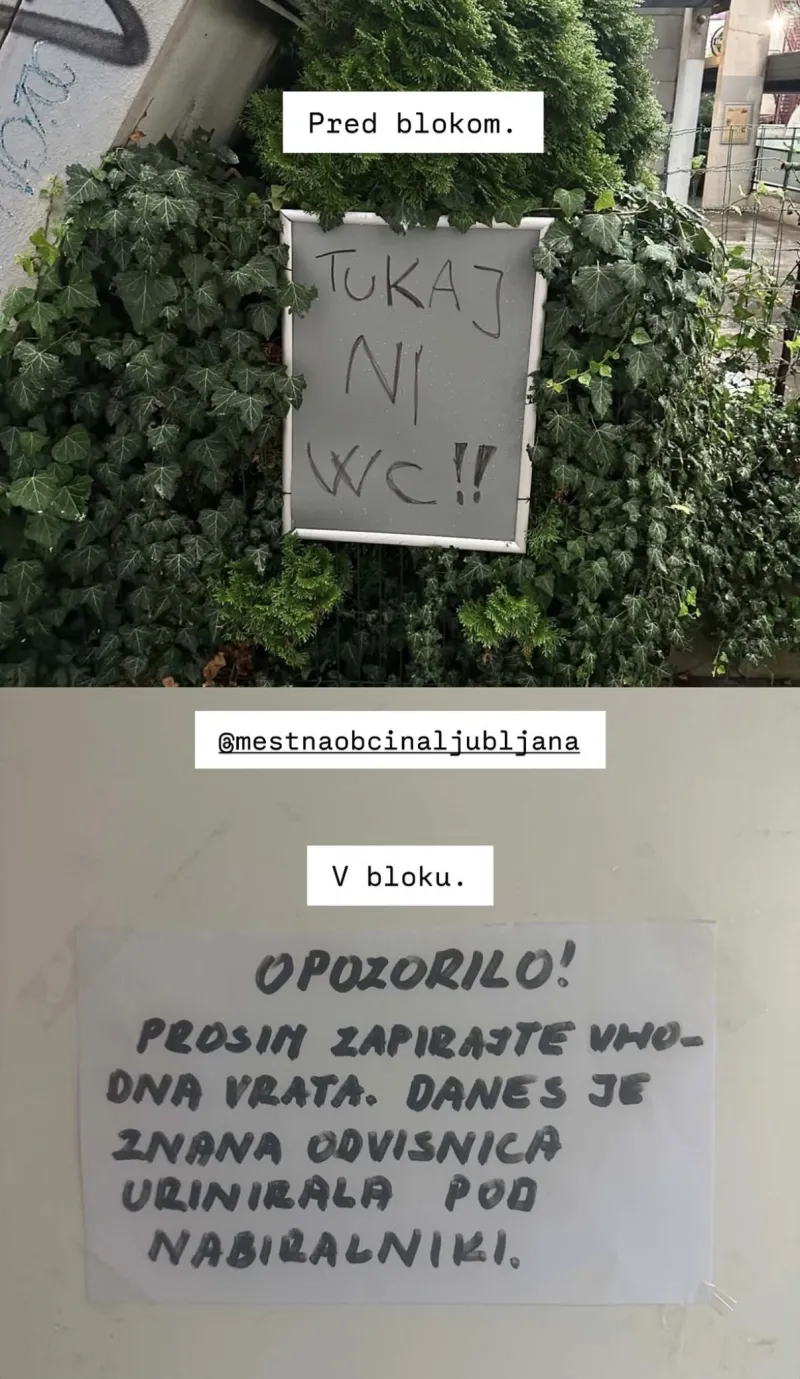 Prizori s Kotnikove ulice v sredi&scaron;ču Ljubljane. Foto: posnetek zaslona Instagram 