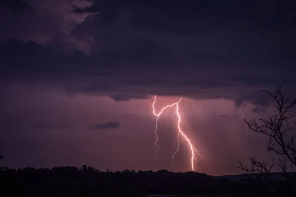 Strela je udarila v drevo, pod katerim sta stala mo&scaron;ka. En je umrl, drugi je bil po&scaron;kodovan. Foto: Canva
