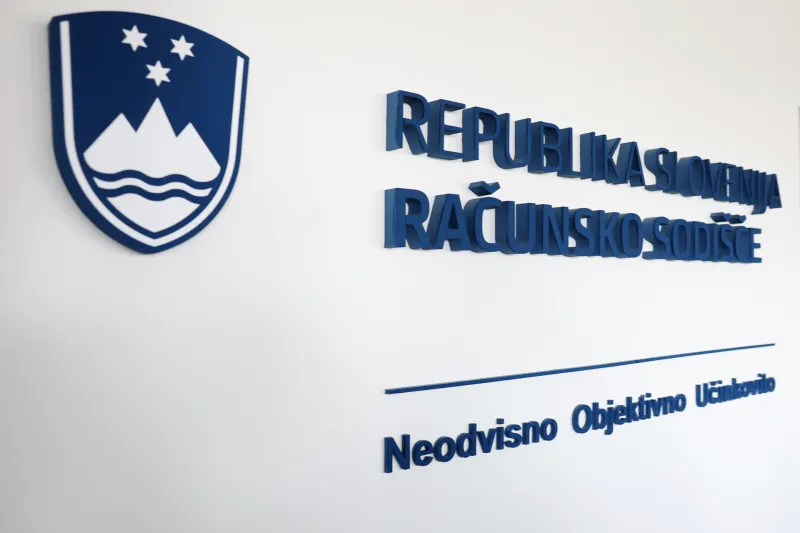 Računsko sodi&scaron;če je v prečni reviziji vzelo pod drobnogled sedem javnih zavodov. Foto: Borut Živulović/F.A.Bobo