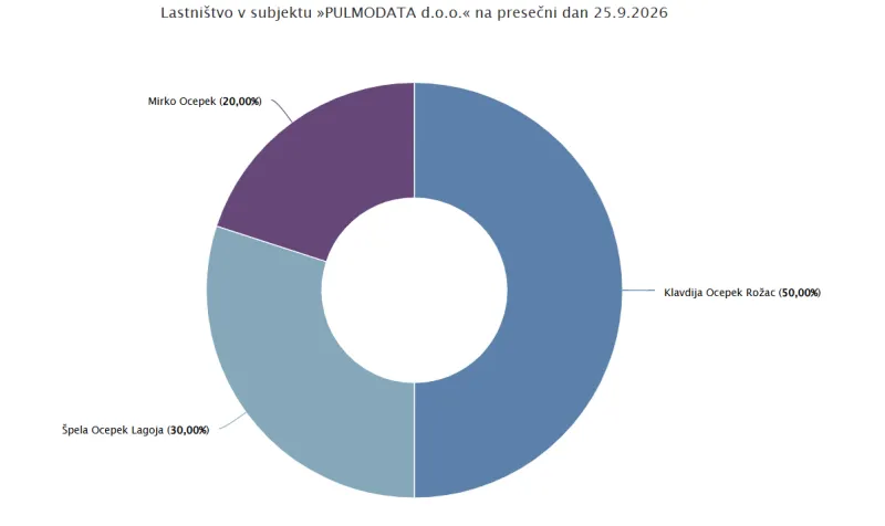 Lastni&scaron;ka struktura podjetja Pulmodata. Ebonitete.si