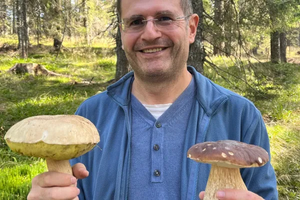 Novinar in voditelj Nenad Gl&uuml;cks se vsako leto z družino odpravi v gozd pobirati gobe. Kot pravi, ga gobarjenje spro&scaron;ča, jurčke pa tudi rad je. Foto: Nenad Gl&uuml;cks.  