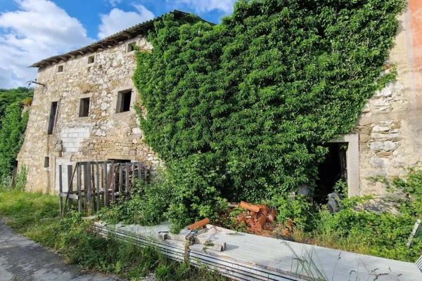 zaledje, nepremičnina