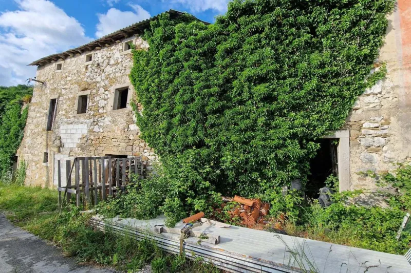 zaledje, nepremičnina